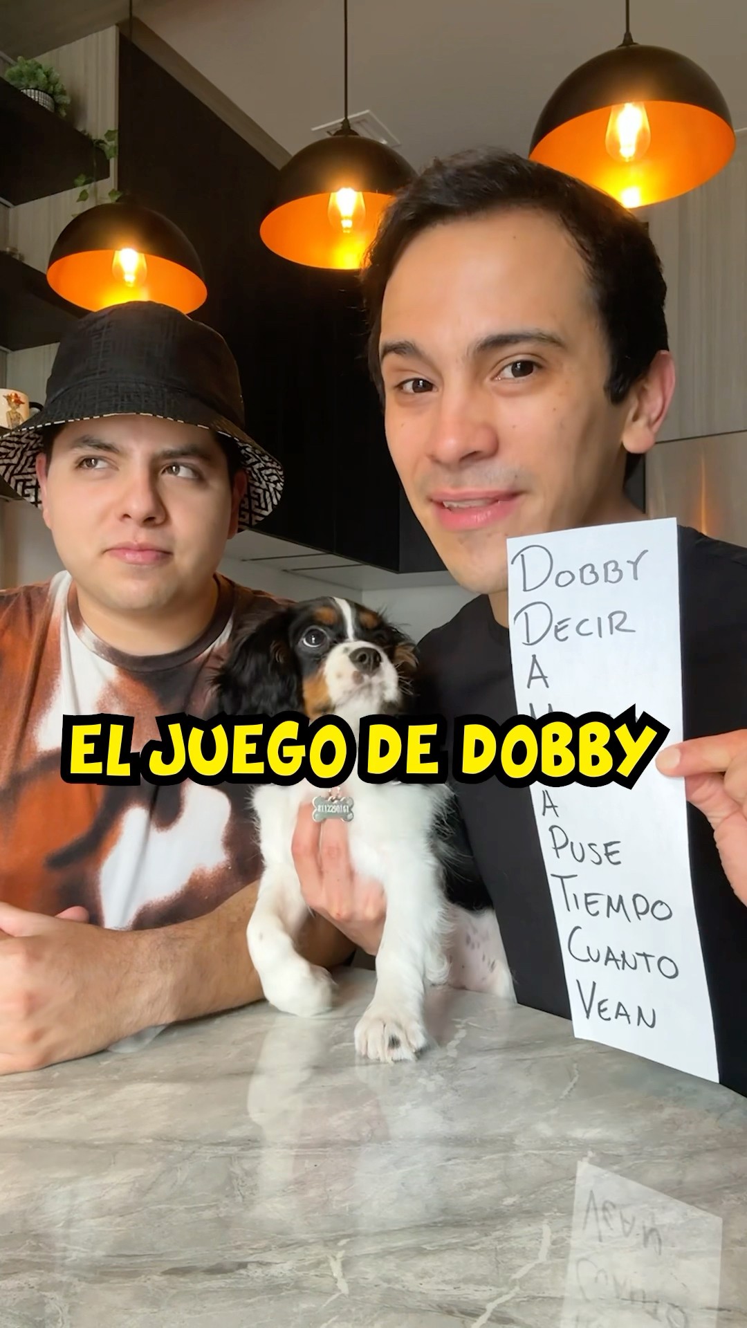El Juego de Dobby ?? @SoyTioNestor #shorts #humor #perros #palomaresmagic